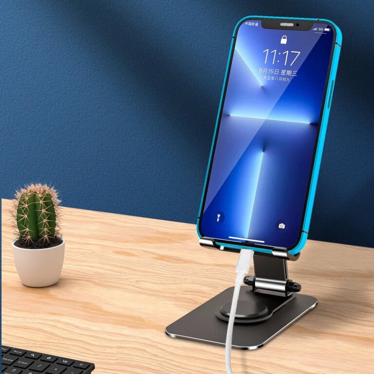 Utilisation Pendant la Charge